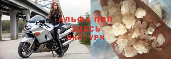 прущие грибы Волоколамск