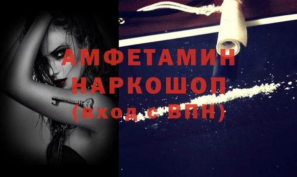 прущие грибы Волоколамск
