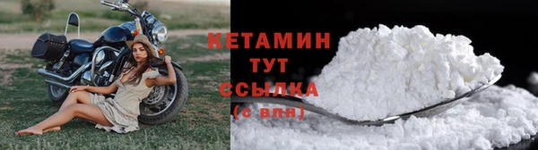 прущие грибы Волоколамск