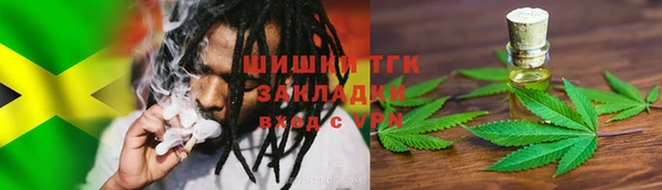 прущие грибы Волоколамск