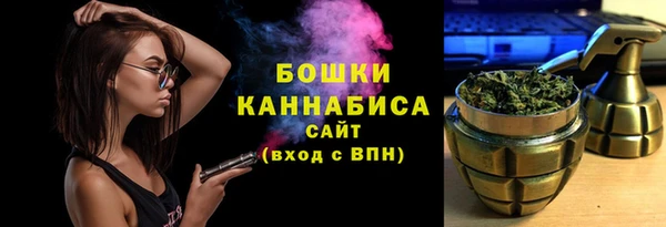 прущие грибы Волоколамск
