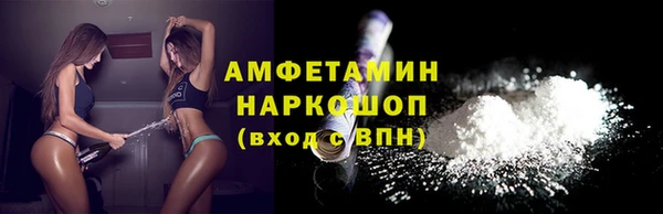 прущие грибы Волоколамск
