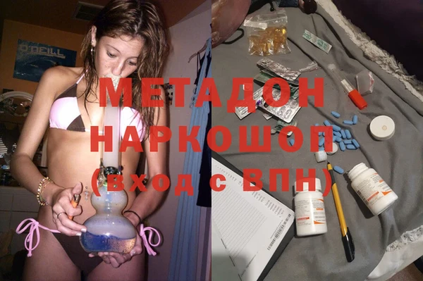 прущие грибы Волоколамск