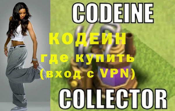 прущие грибы Волоколамск